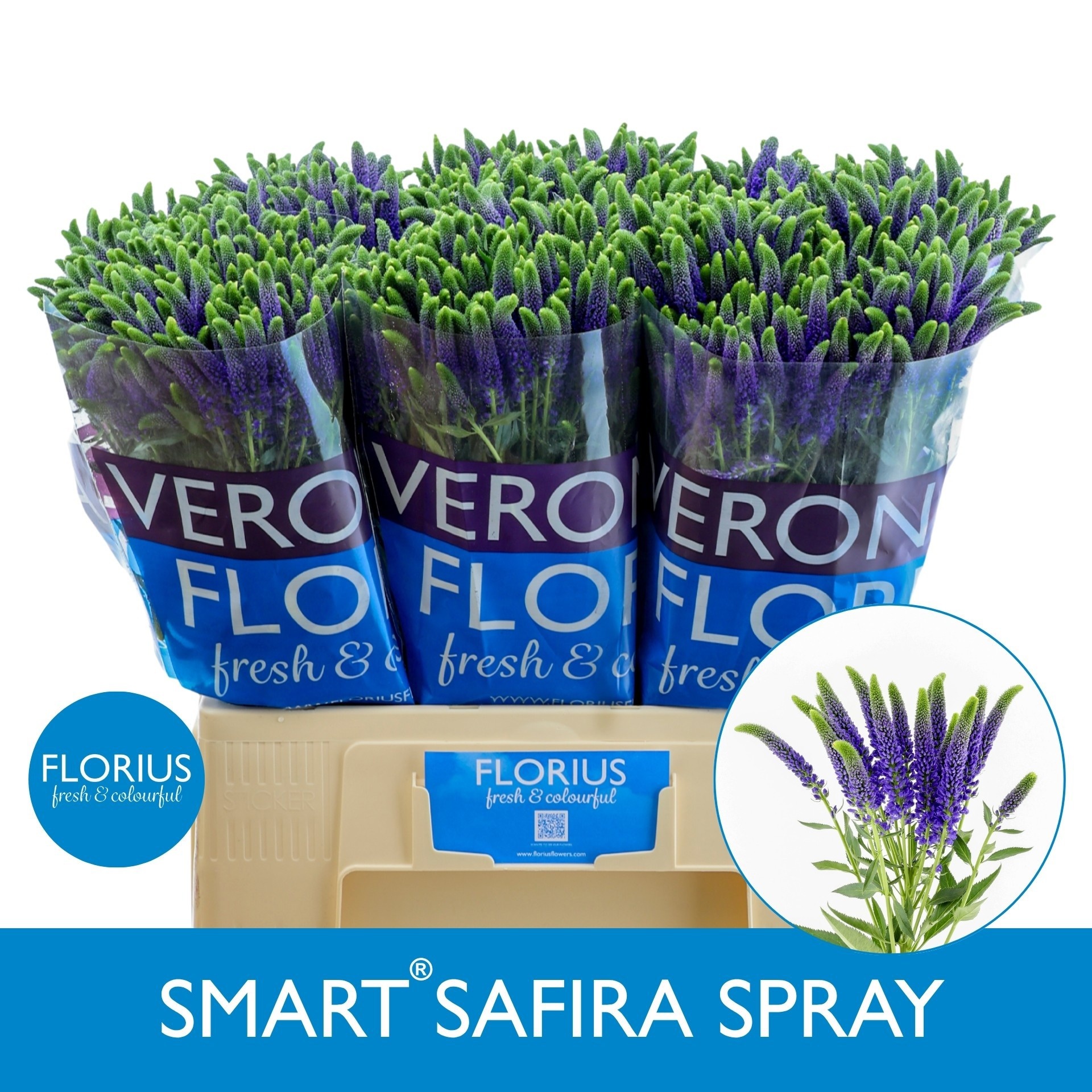 Veron Smart Safira