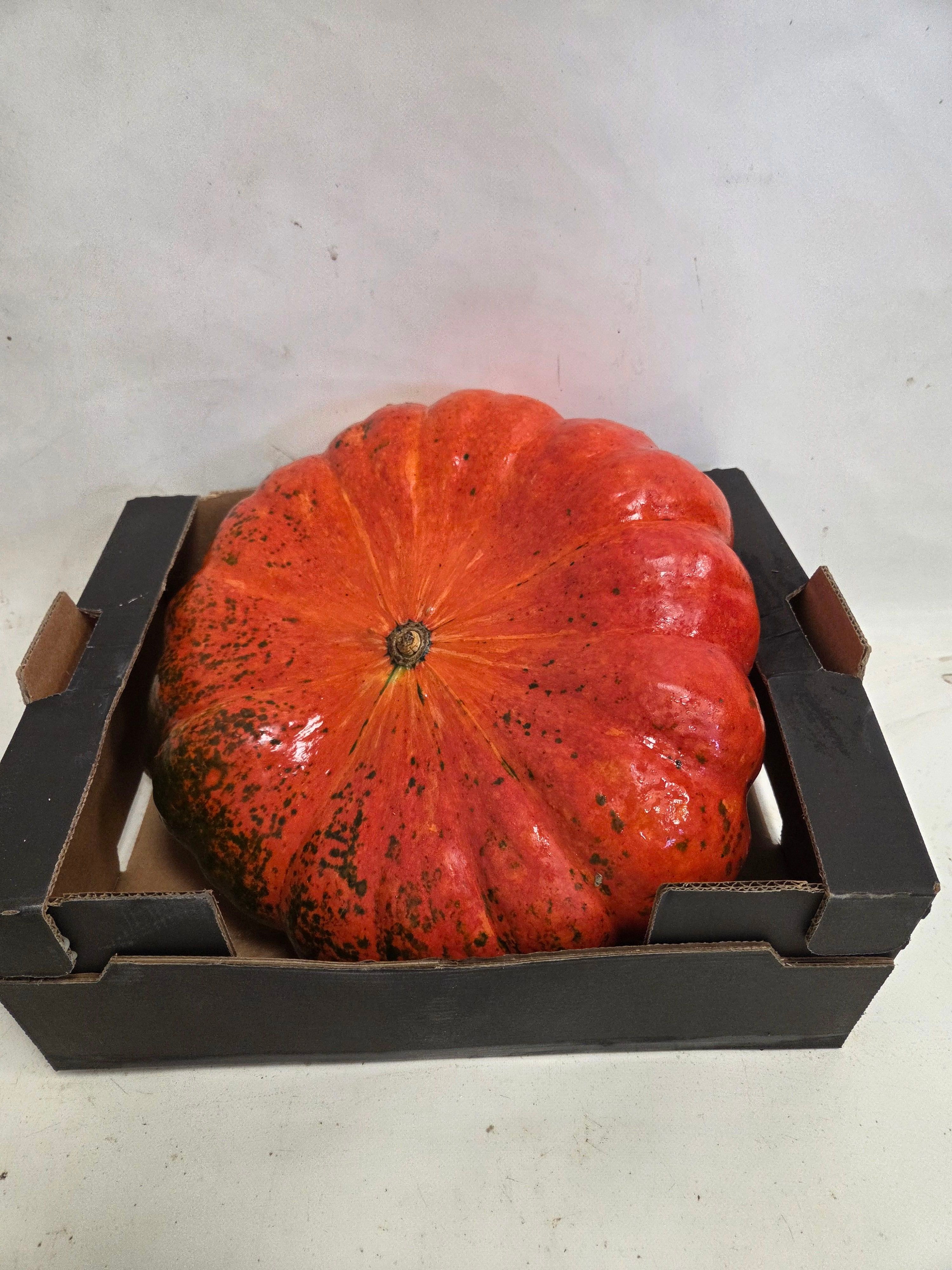 Cucurbita - Overig sierfruit