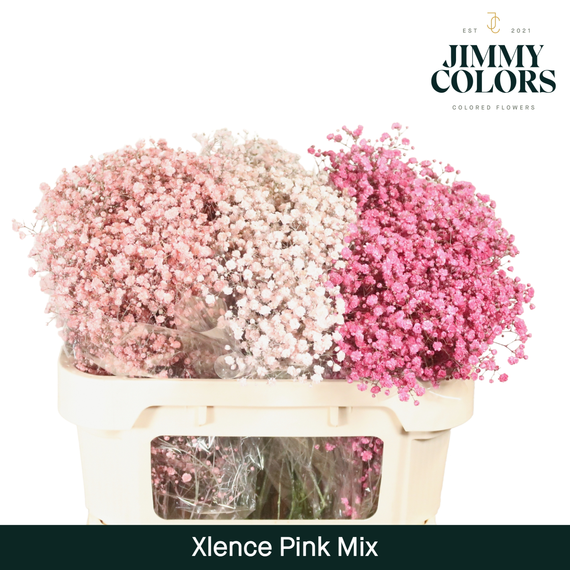 Gyps Xlence L80 Pink Mix