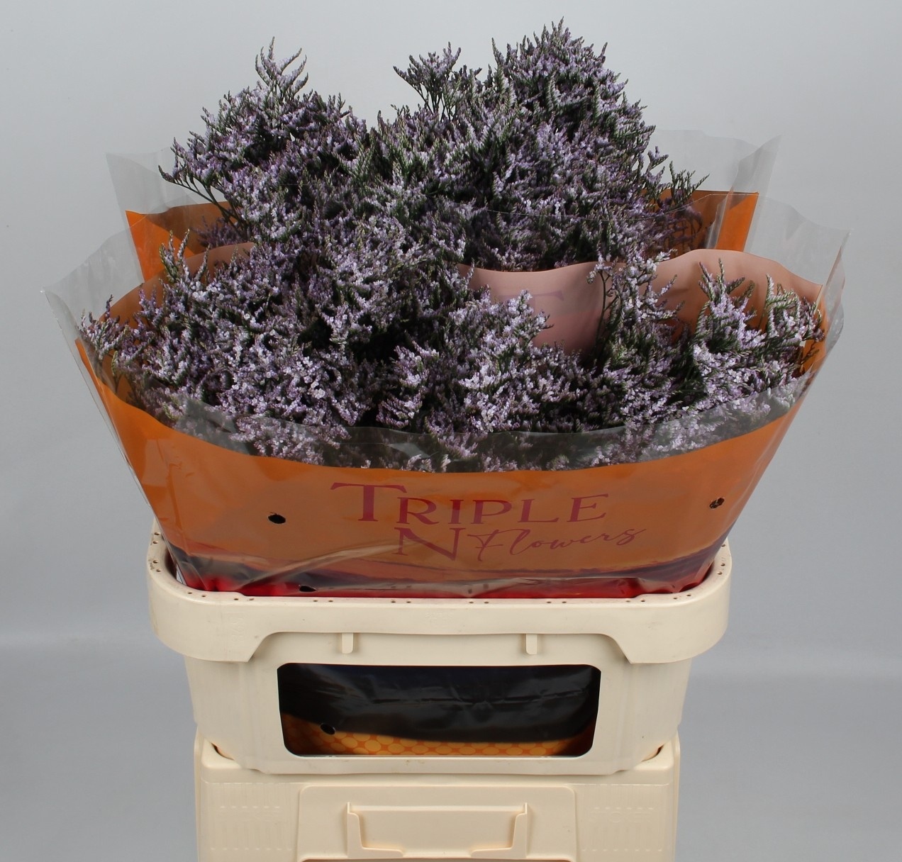 Limonium Lilac 80cm 45gram