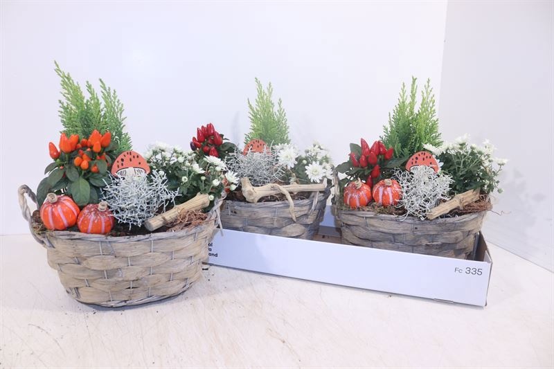 Arr Tuinplanten 25P 32cm
