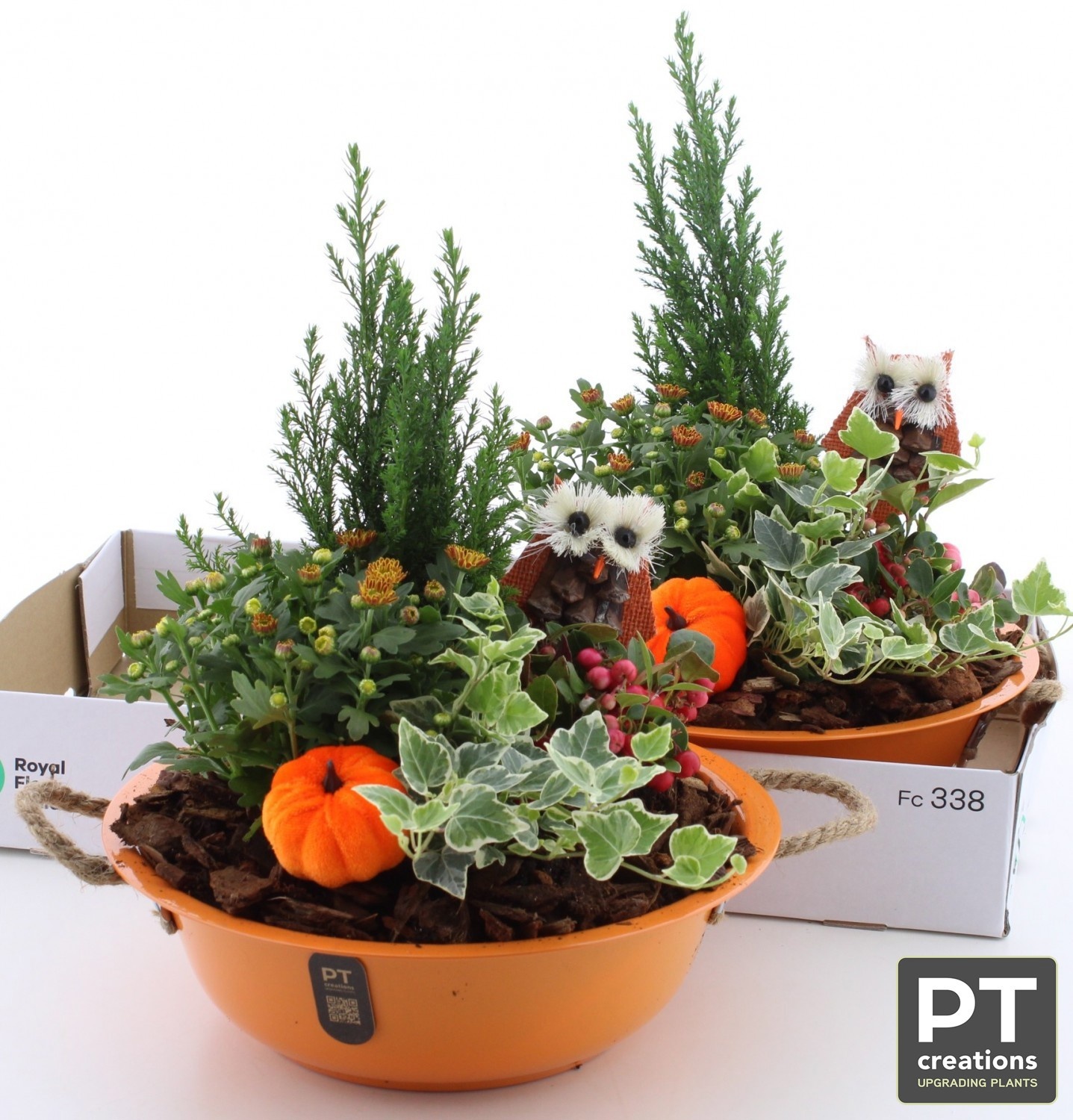 Arr Tuinplanten 30P 40cm 22bloei
