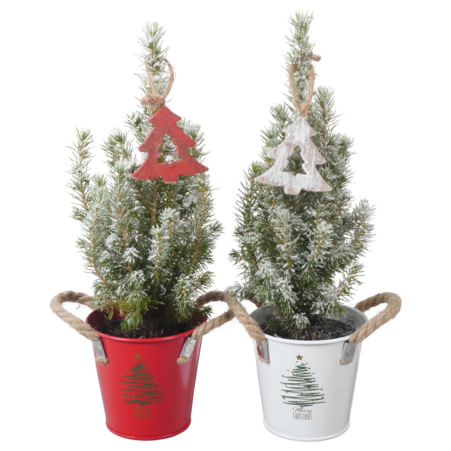 Picture of PTK24367 Picea Conica Perfecta with snow in zinc decoration P9 30CM