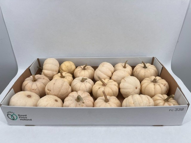 Ornamental Fruits Per Piece