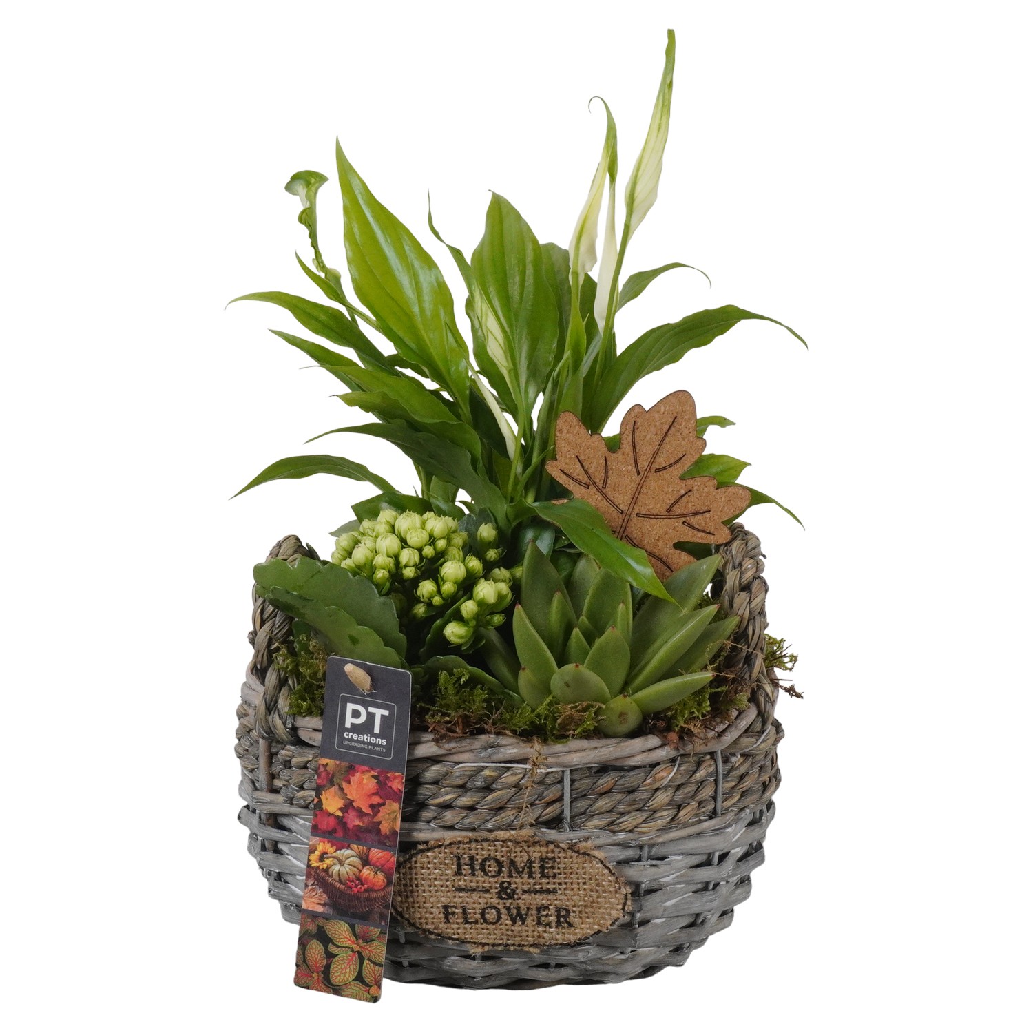 Picture of Arrangement Autumn Indoor in grass basket PTHI7046 P18 33CM