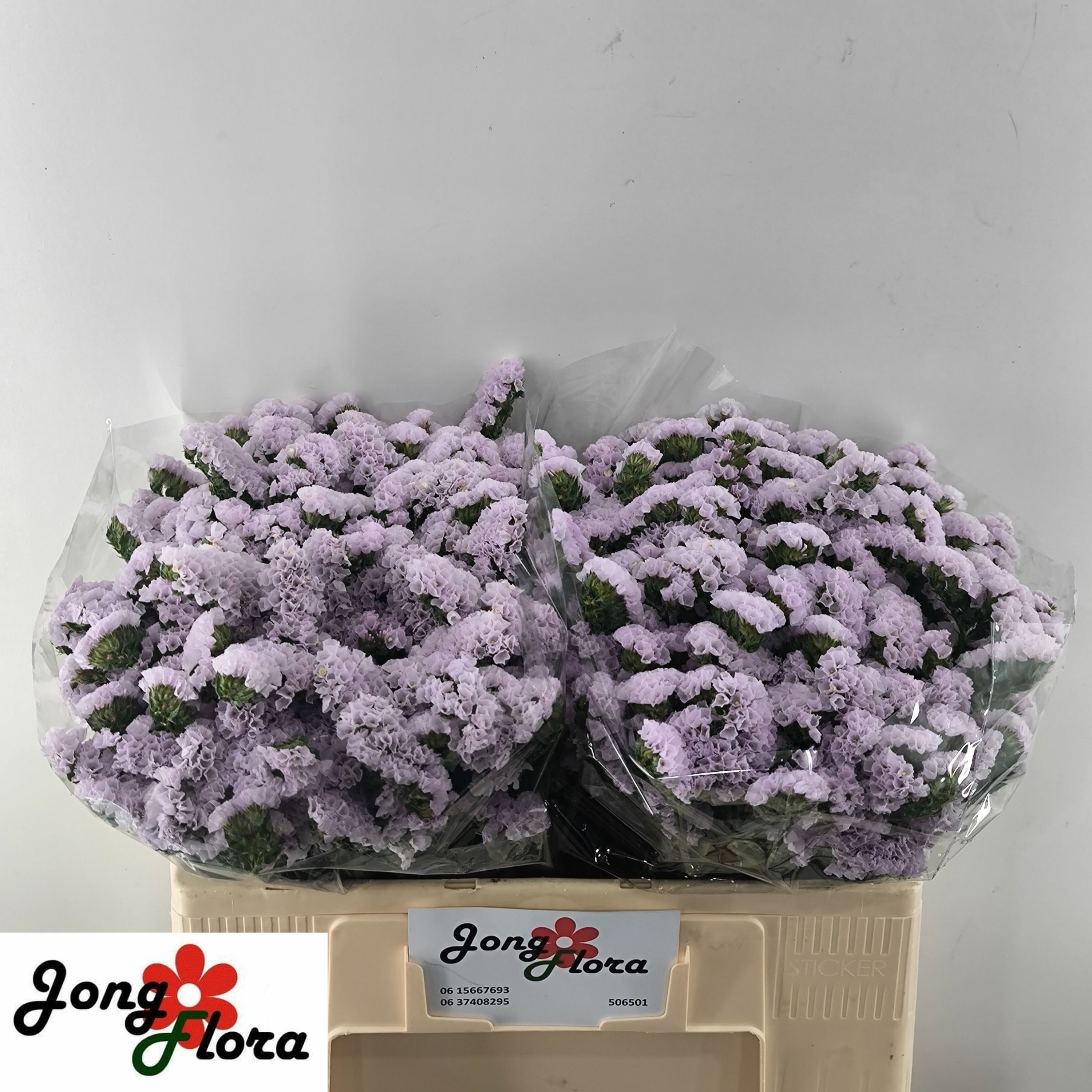 Lim S Fairy Wings 50cm 20gram