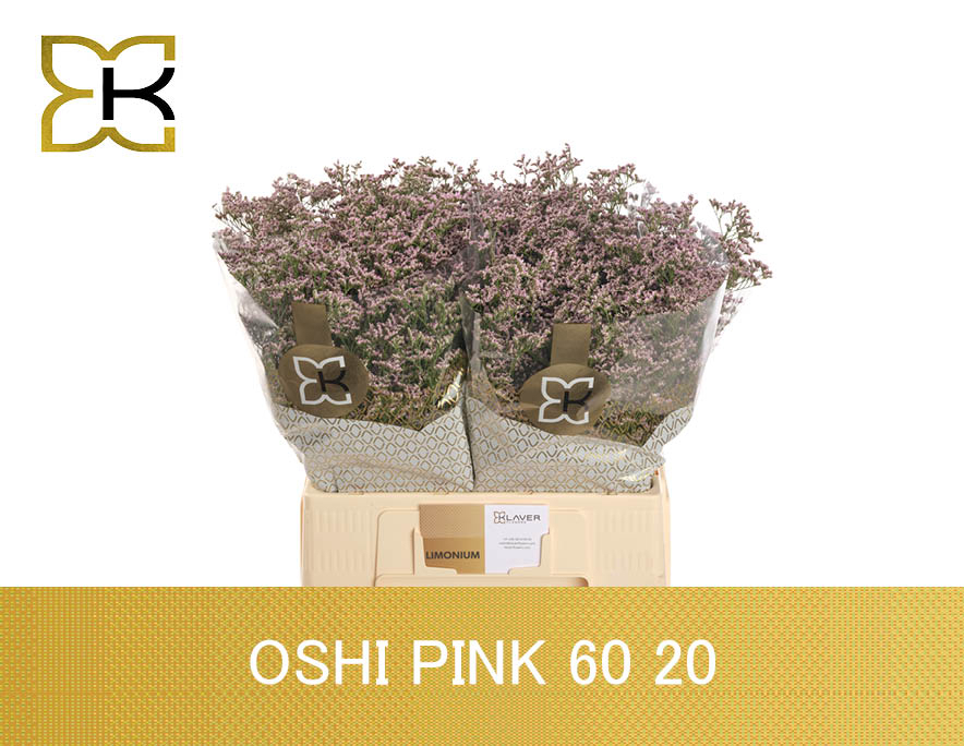 Lim Saf Oshi Pink