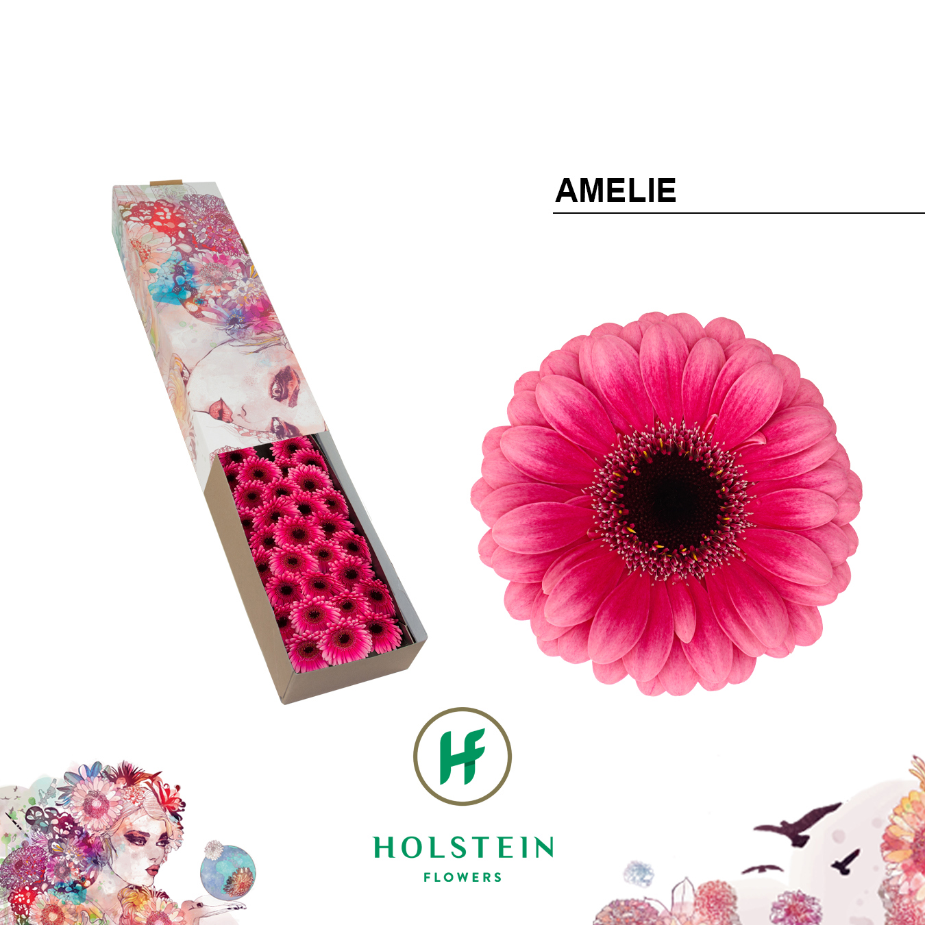 Germini Amelie Doos
