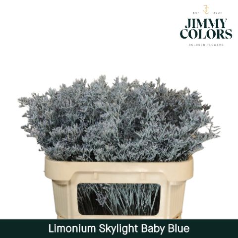 Lim Skylight L70 Light Blue