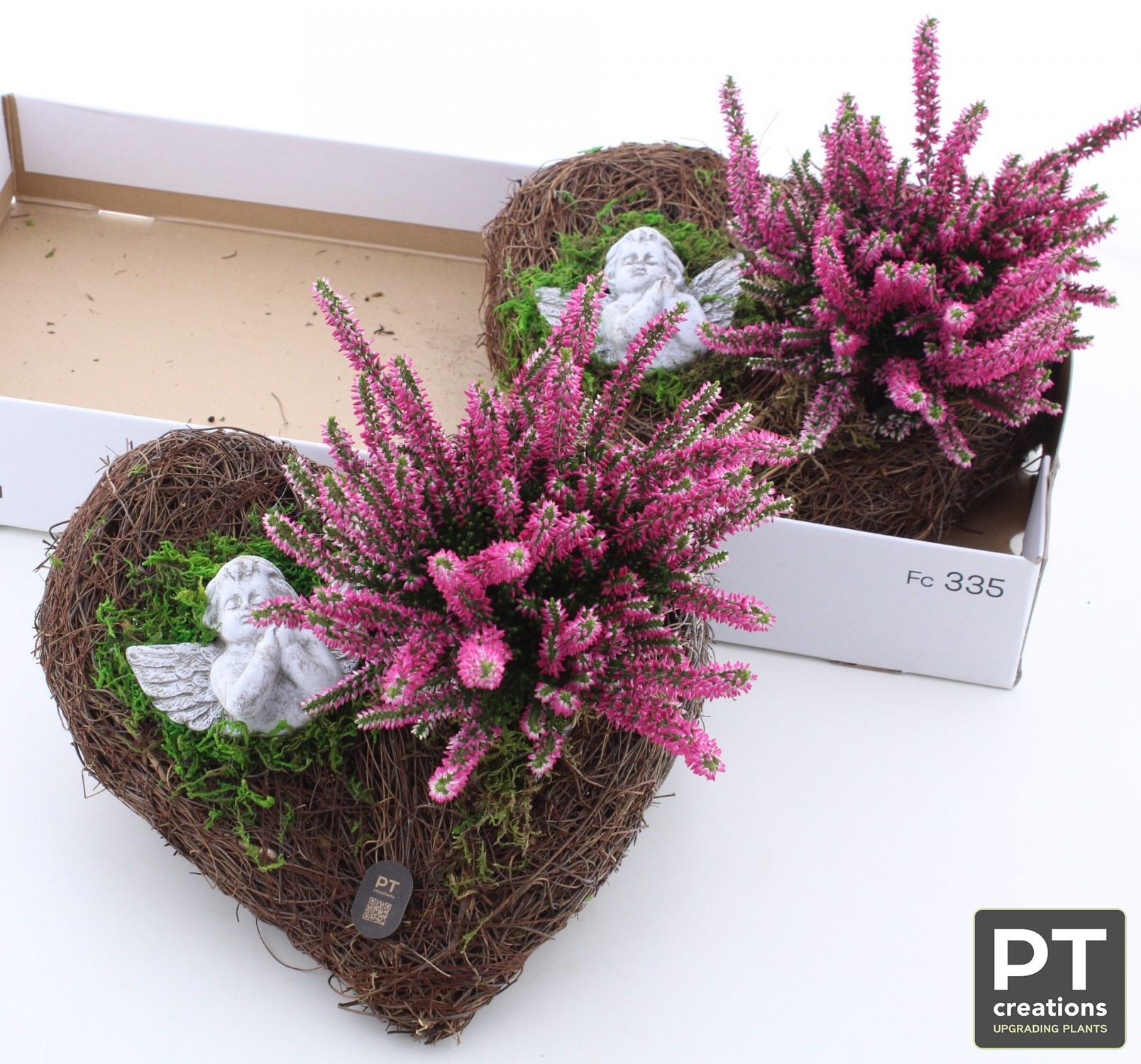 Arr Tuinplanten 26P 30cm 22bloei