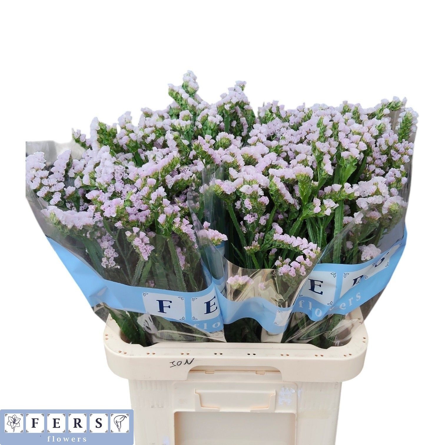 Lim S Fairy Wings 70cm 64gram