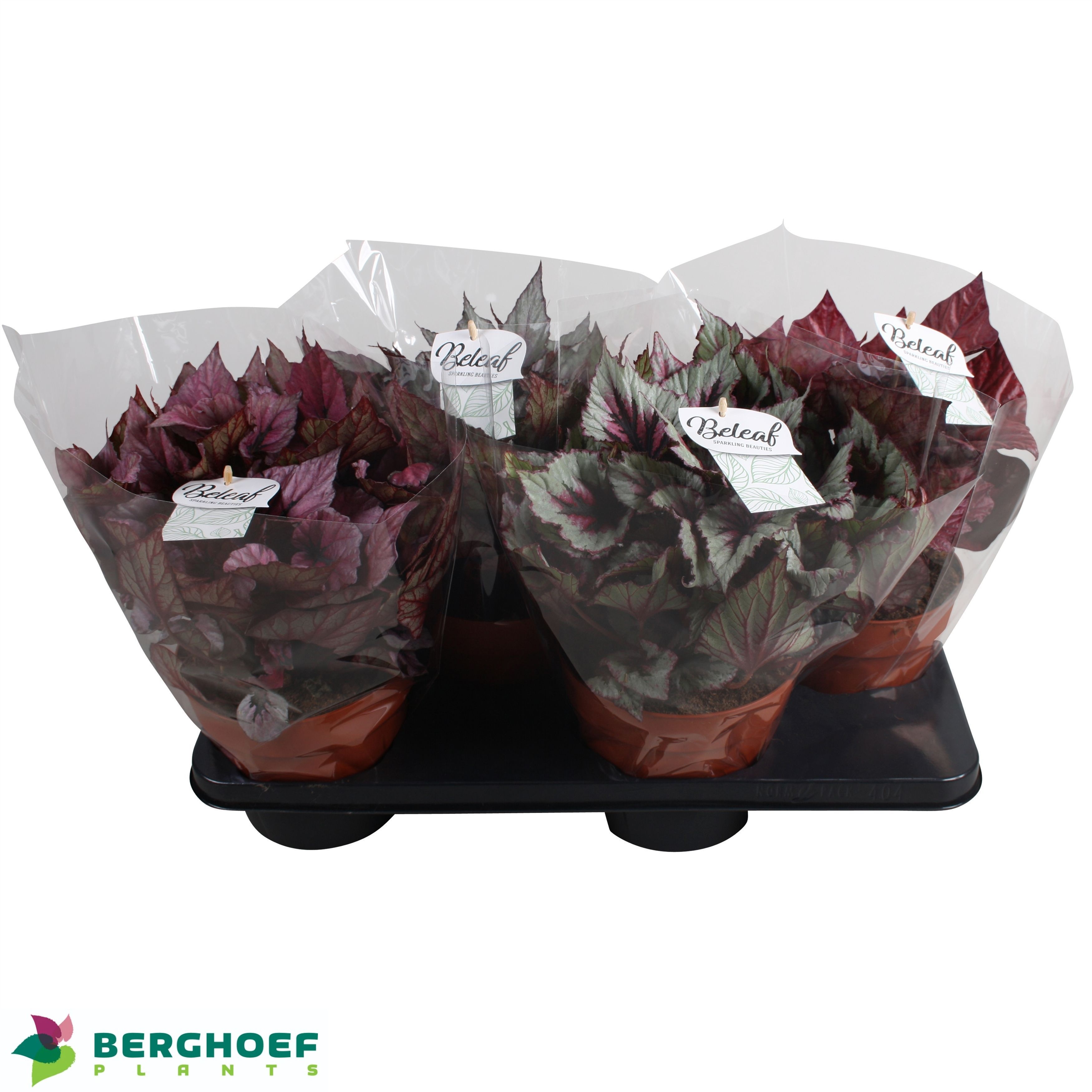 Beg Bel Gem 17Ø 33cm