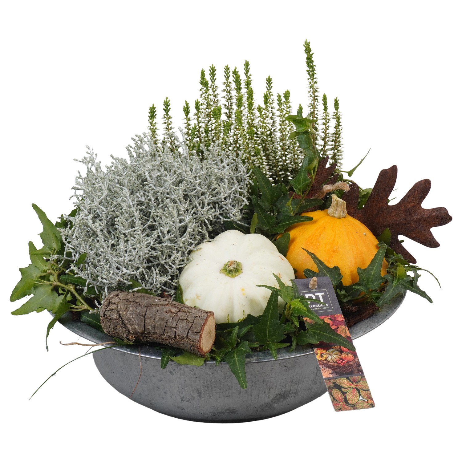 Picture of PTKBH5306 Arrangement Autumn Fruits in metal bowl P29 27cm