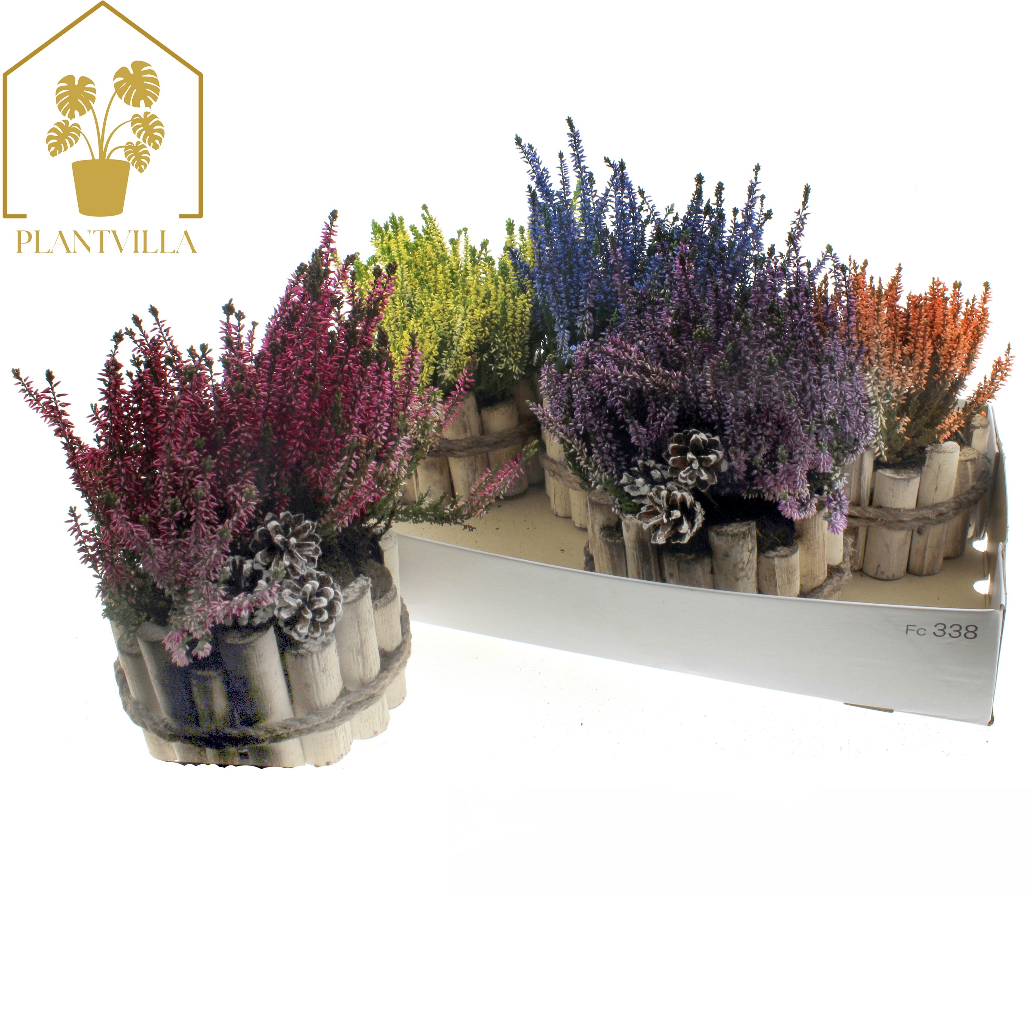Arr Tuinplanten 17P 30cm 23bloei