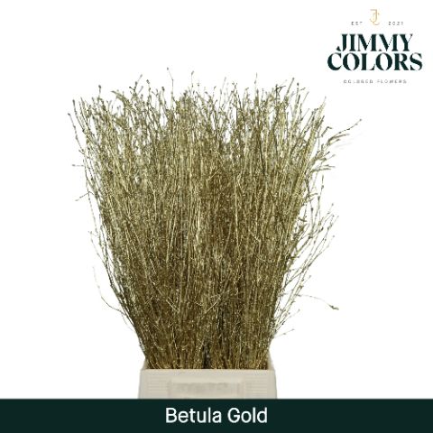 Betula L70 Goud