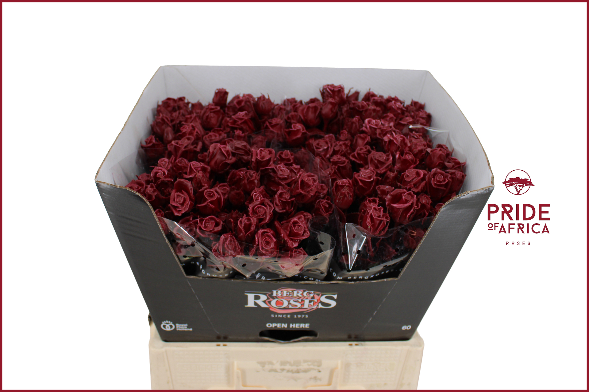 R Gr Gewaxt Wax Tros Bordeaux L60