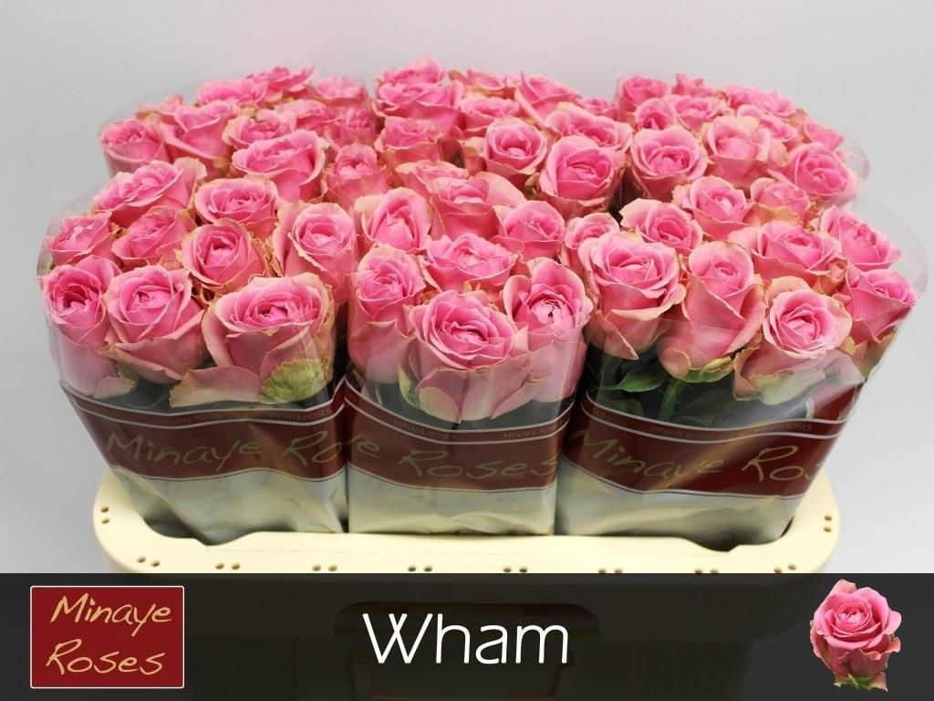 R Gr Wham