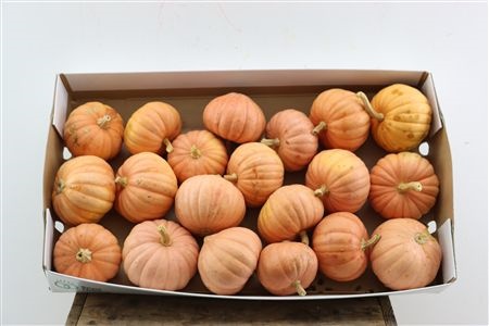Ornamental Fruits Per Piece