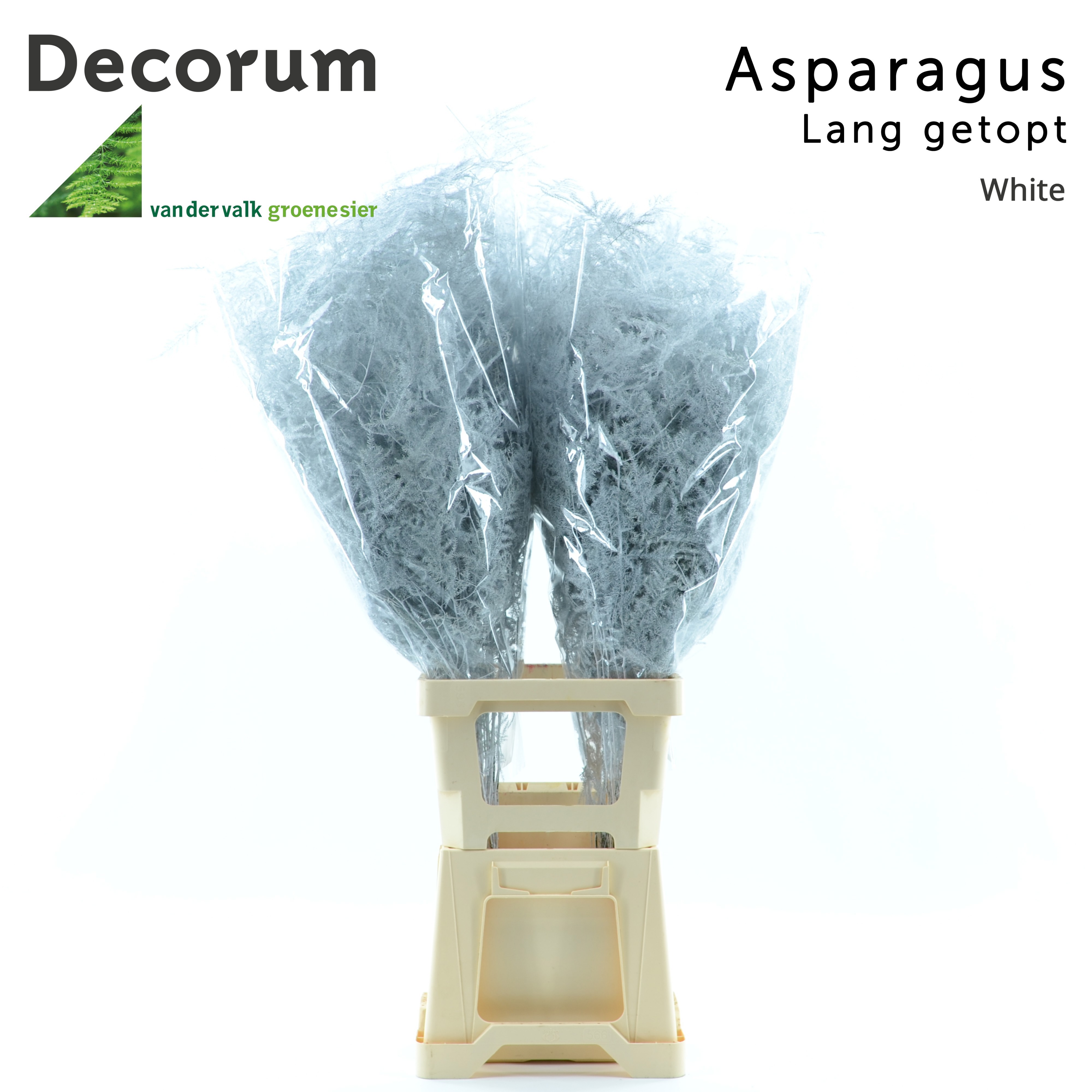 Asp Lang Getopt White