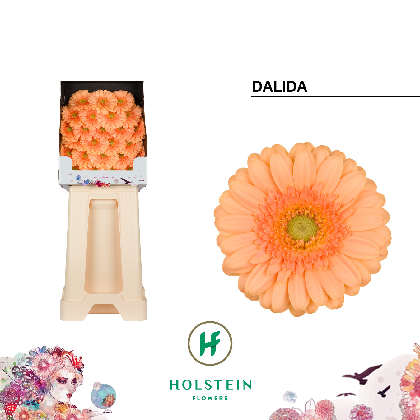 Ge Mi Dalida