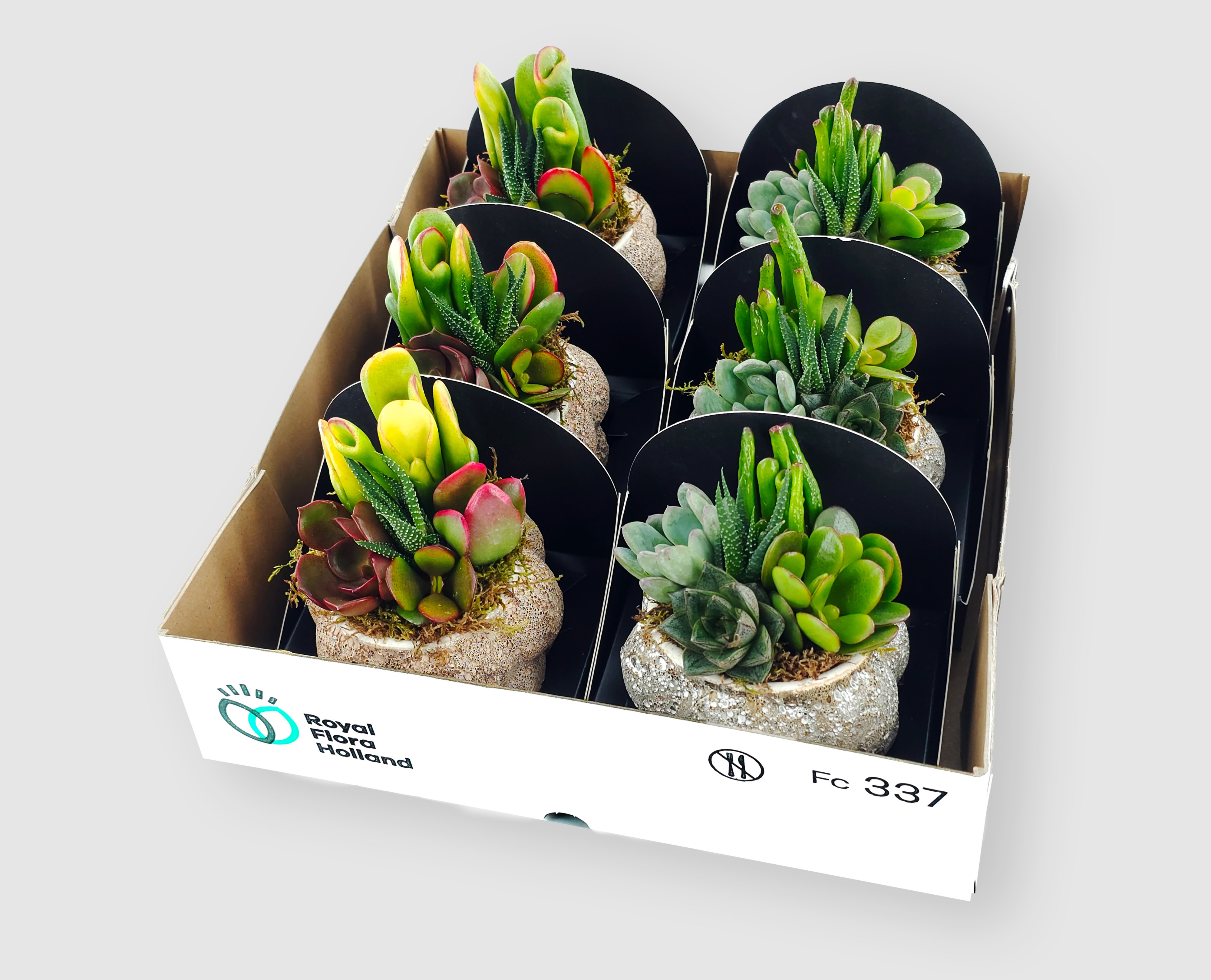 Vetplanten Arr 6% 9Ø
