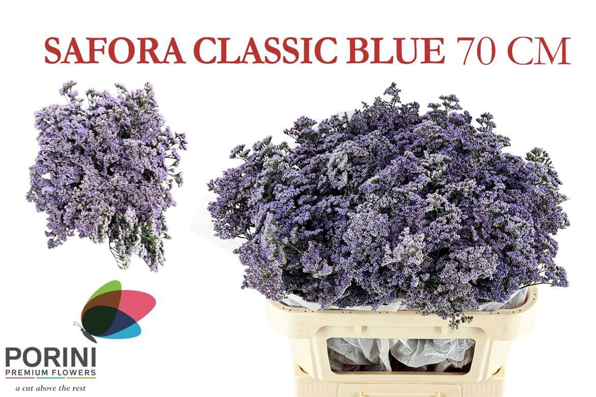 Lim Saf Classic Blue