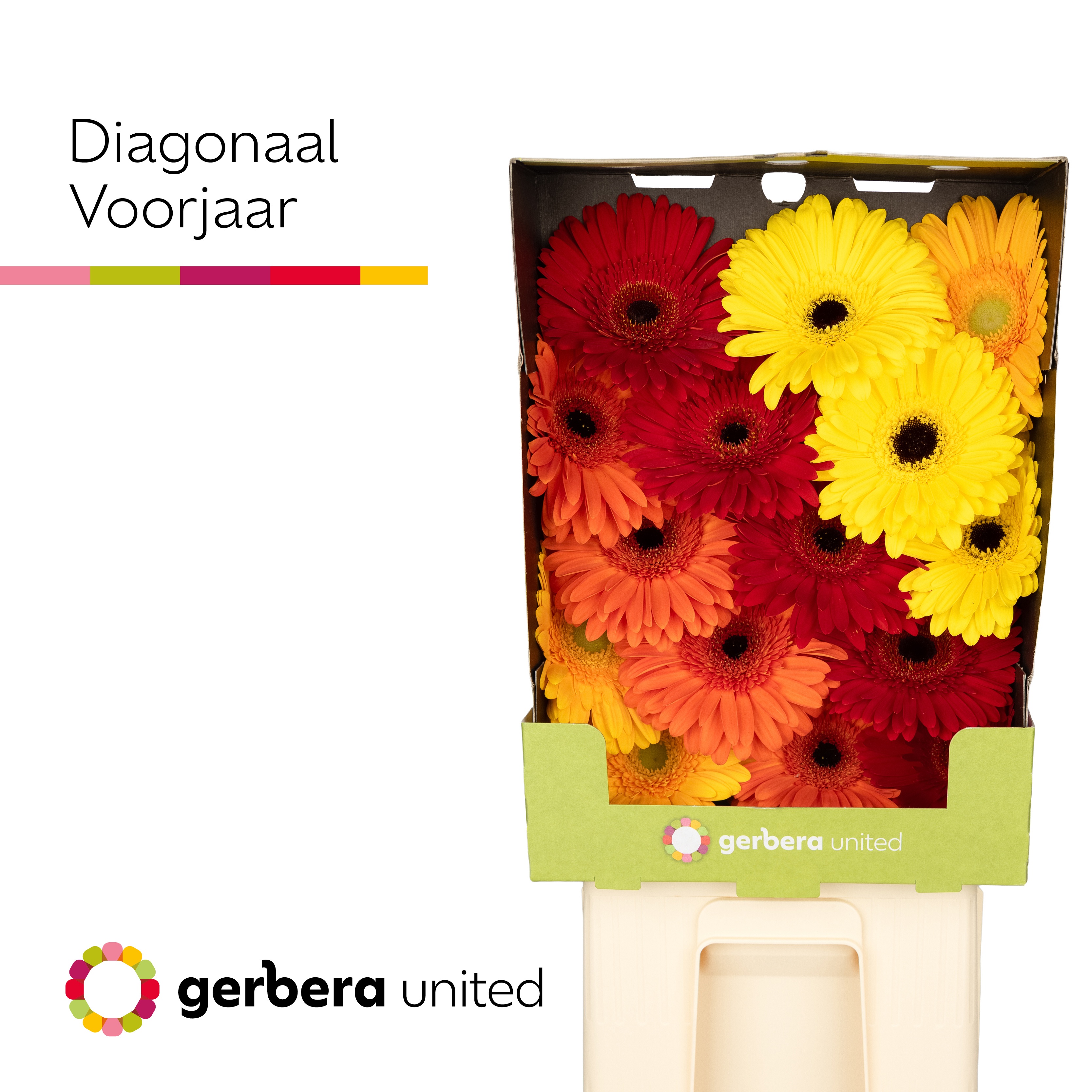 Ge Gr Diagonaal Gem