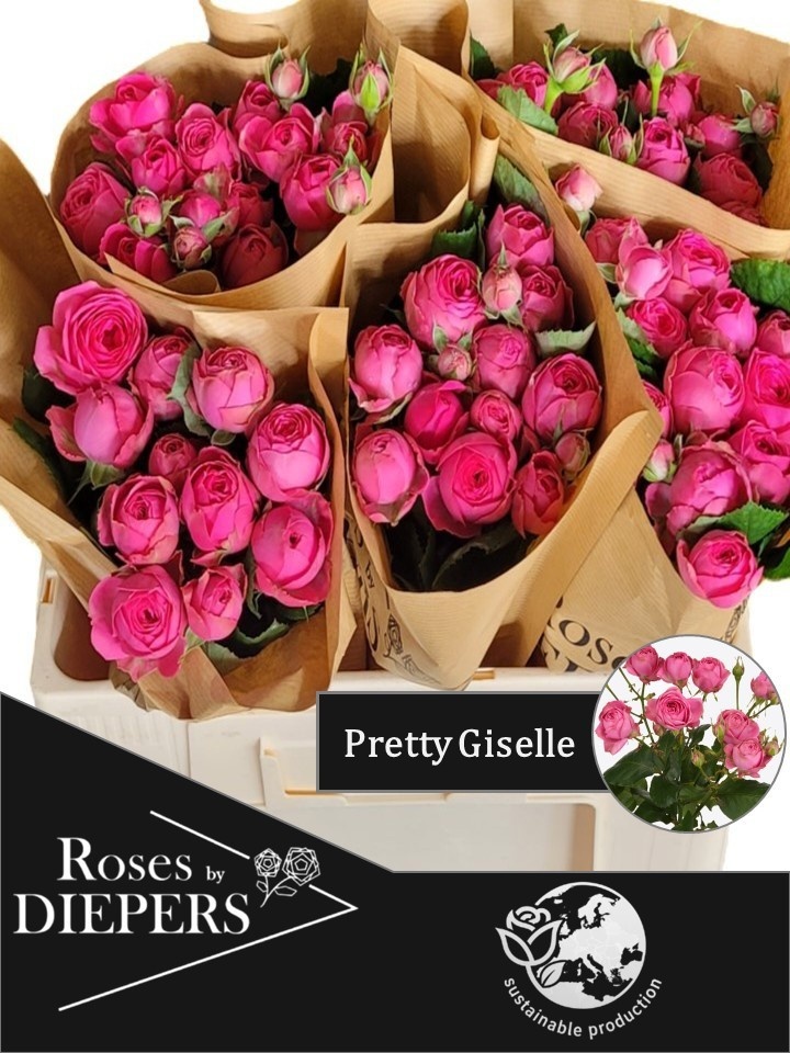 R Tr Pretty Giselle!