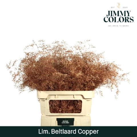 Lim Bel L90 Metallic Copper