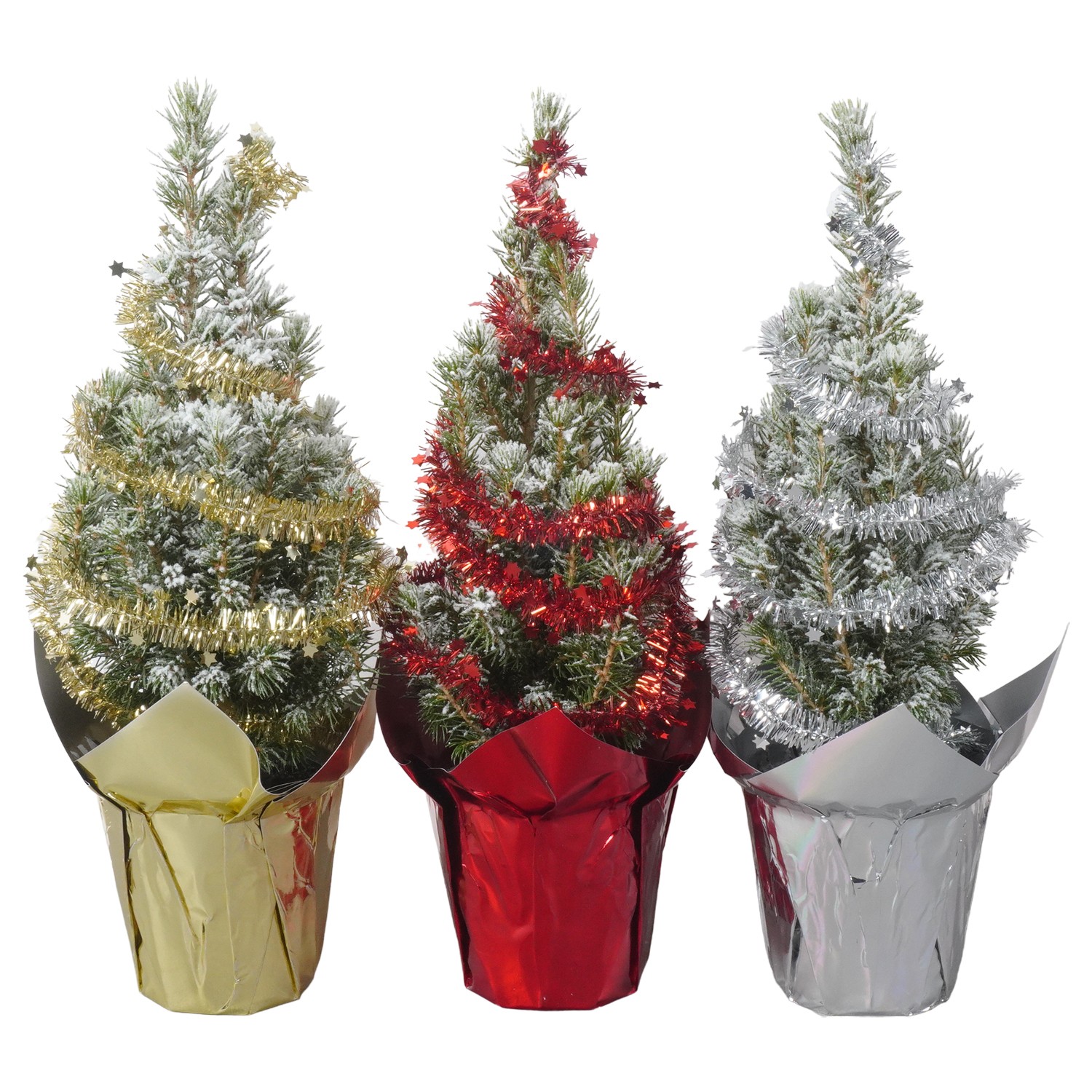 Picture of PTK24344 Picea Conica Perfecta with snow in shining paper potcover decoration P9 30CM