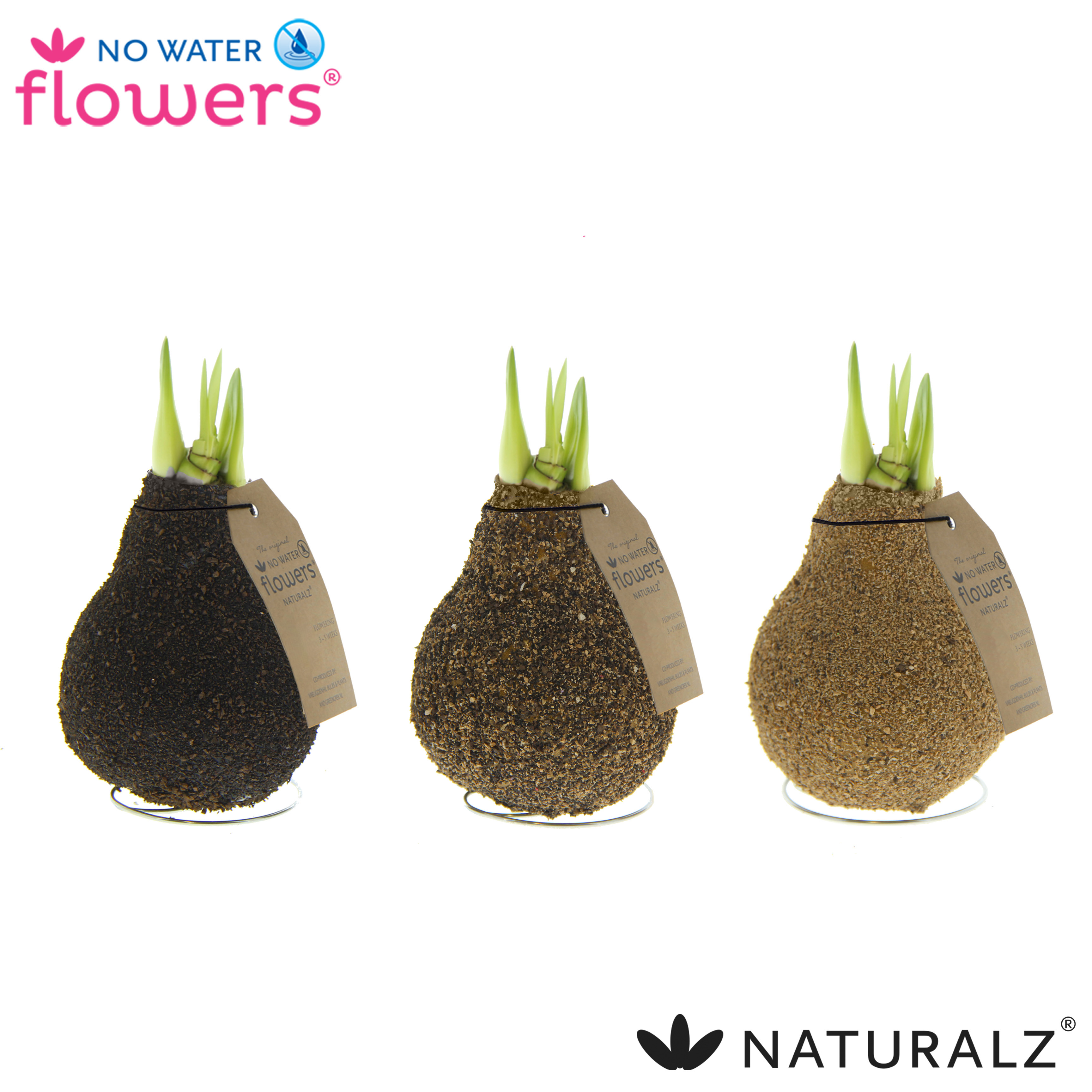 Picture of No Water Flowers Naturalz Corkz Mix 15CM