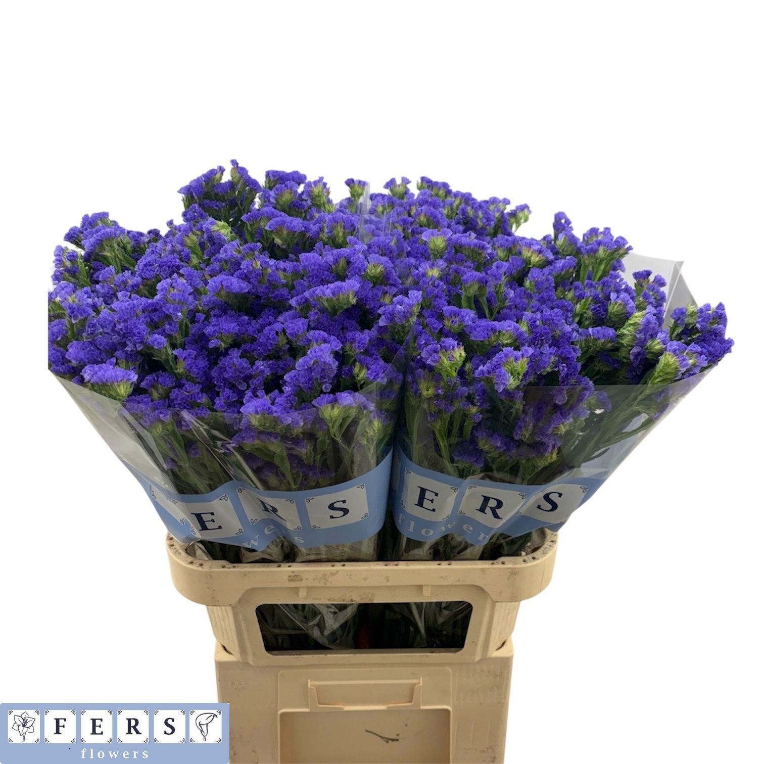 Limonium St Crystal Dark Blue 80cm 48gram