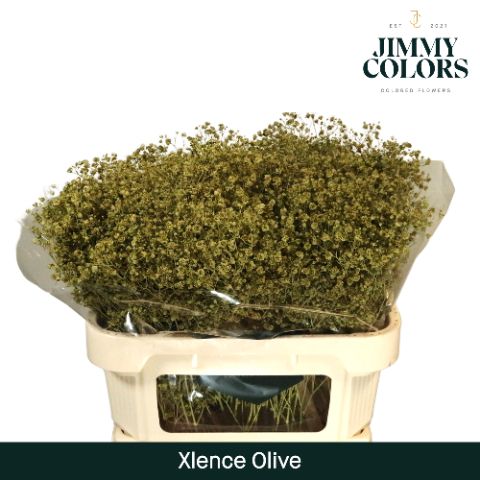 Gyps Xlence L70 Olive