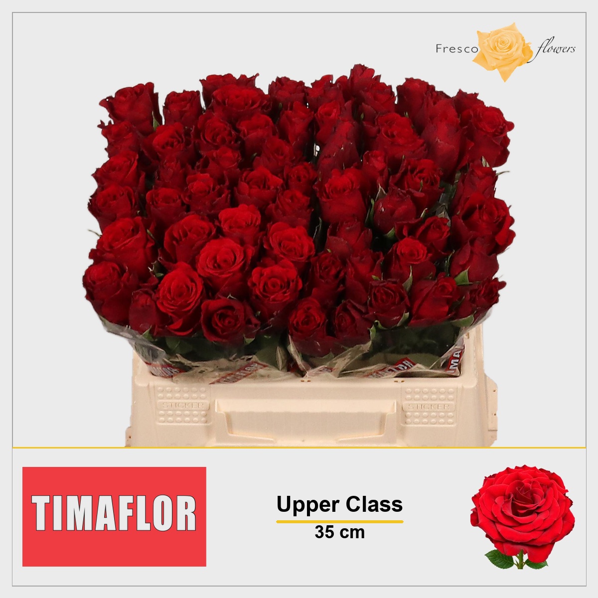 Rosa Upper Class 35cm