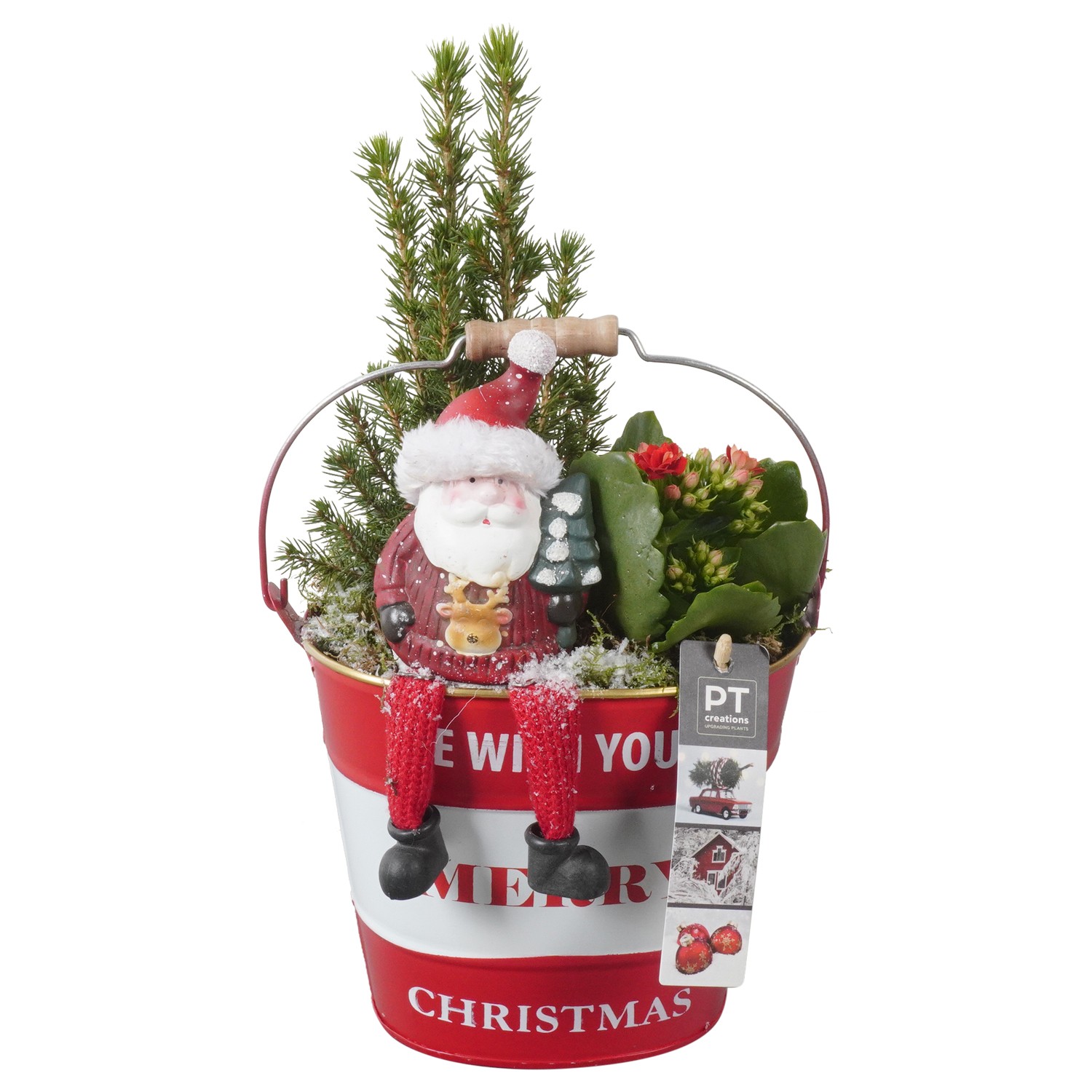 Picture of PTKB9431 Arrangement X-Mas in zinc bucket P17 35CM