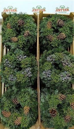 Fruits Malus Per Piece