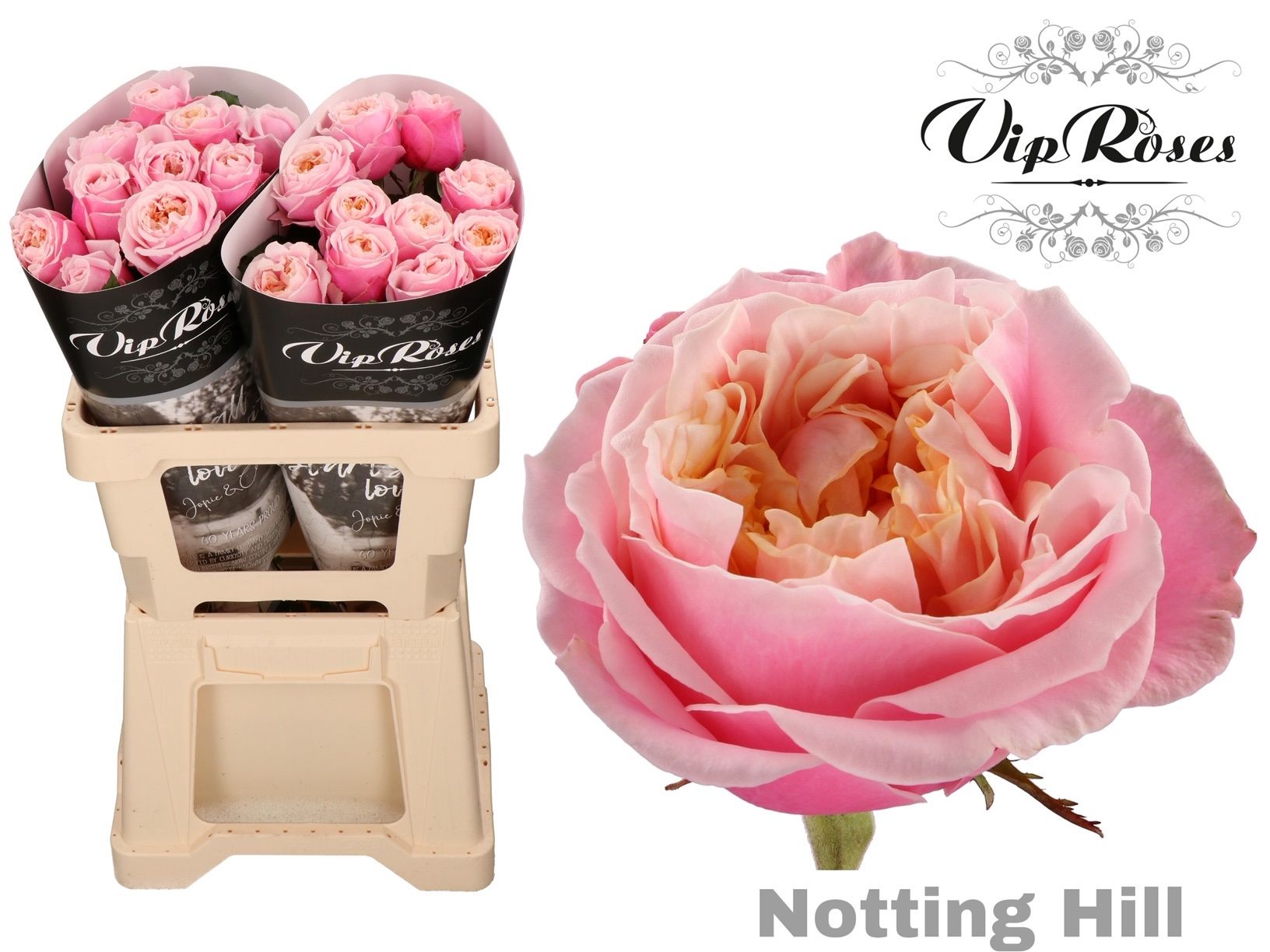 R Gr Notting Hill