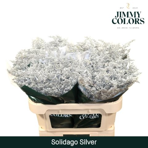 Solidago L70 Metallic Silver