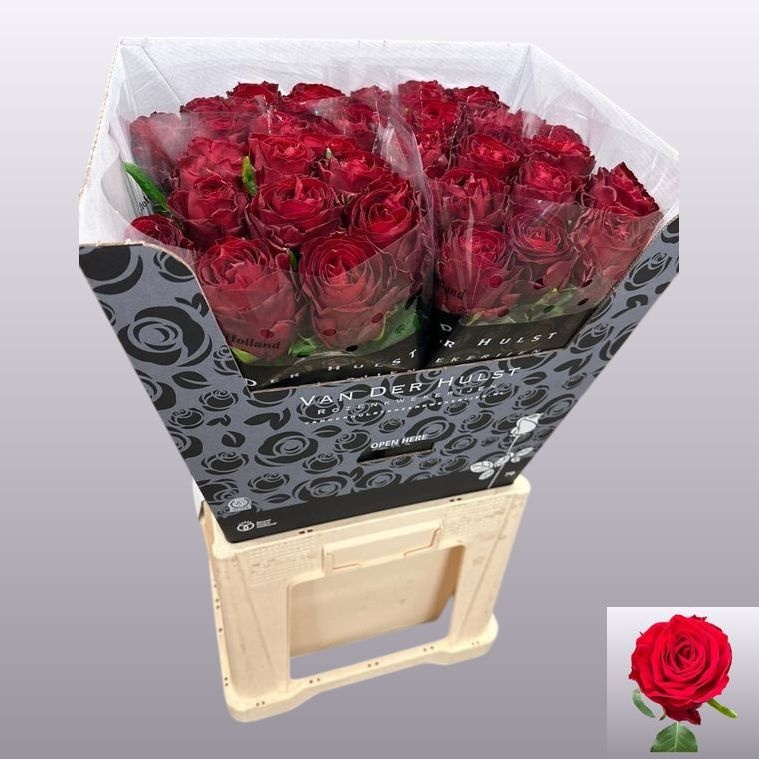 R Gr Anor! 70cm