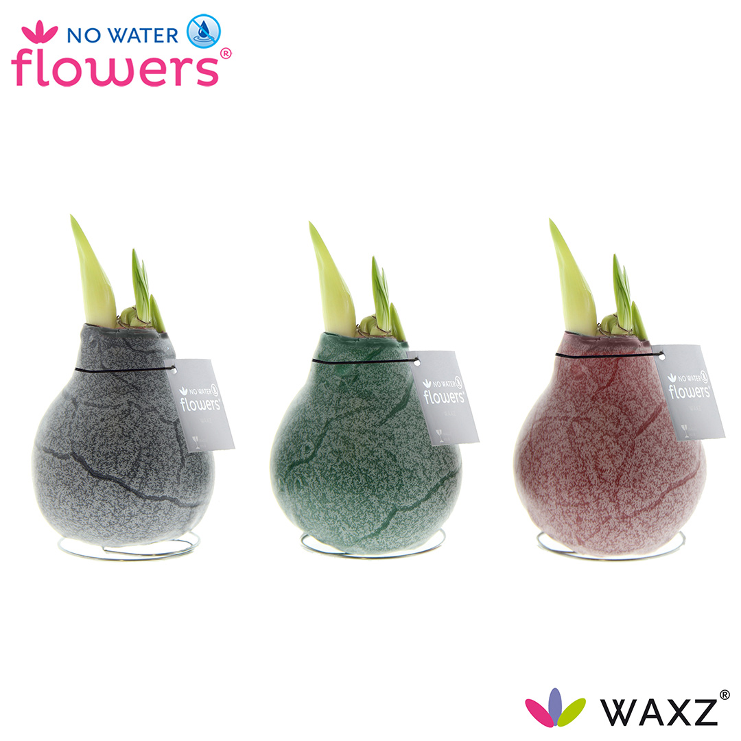 Picture of No Water Flowers Waxz® Marble 15CM