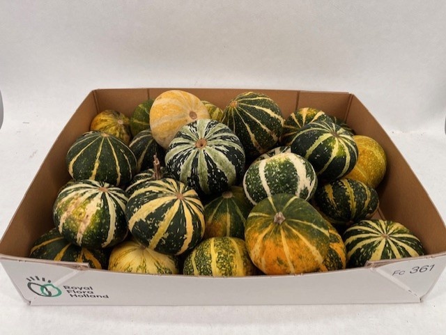 Ornamental Fruits Per Piece
