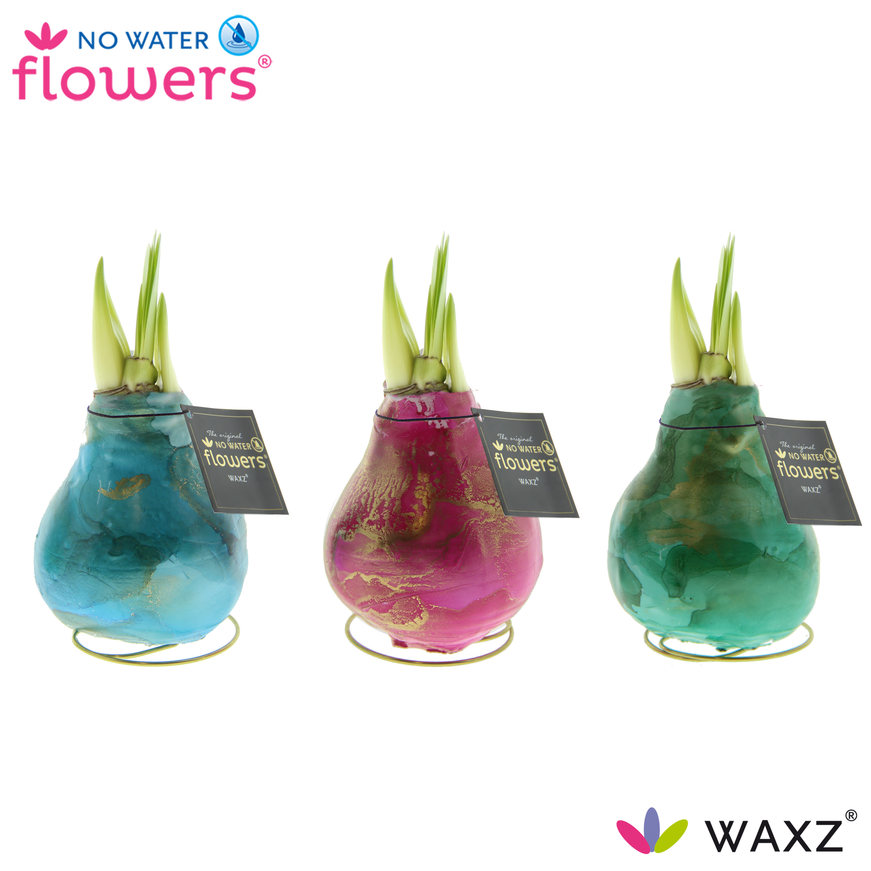 Picture of No Water Flowers® Univerz Saturnus 15CM