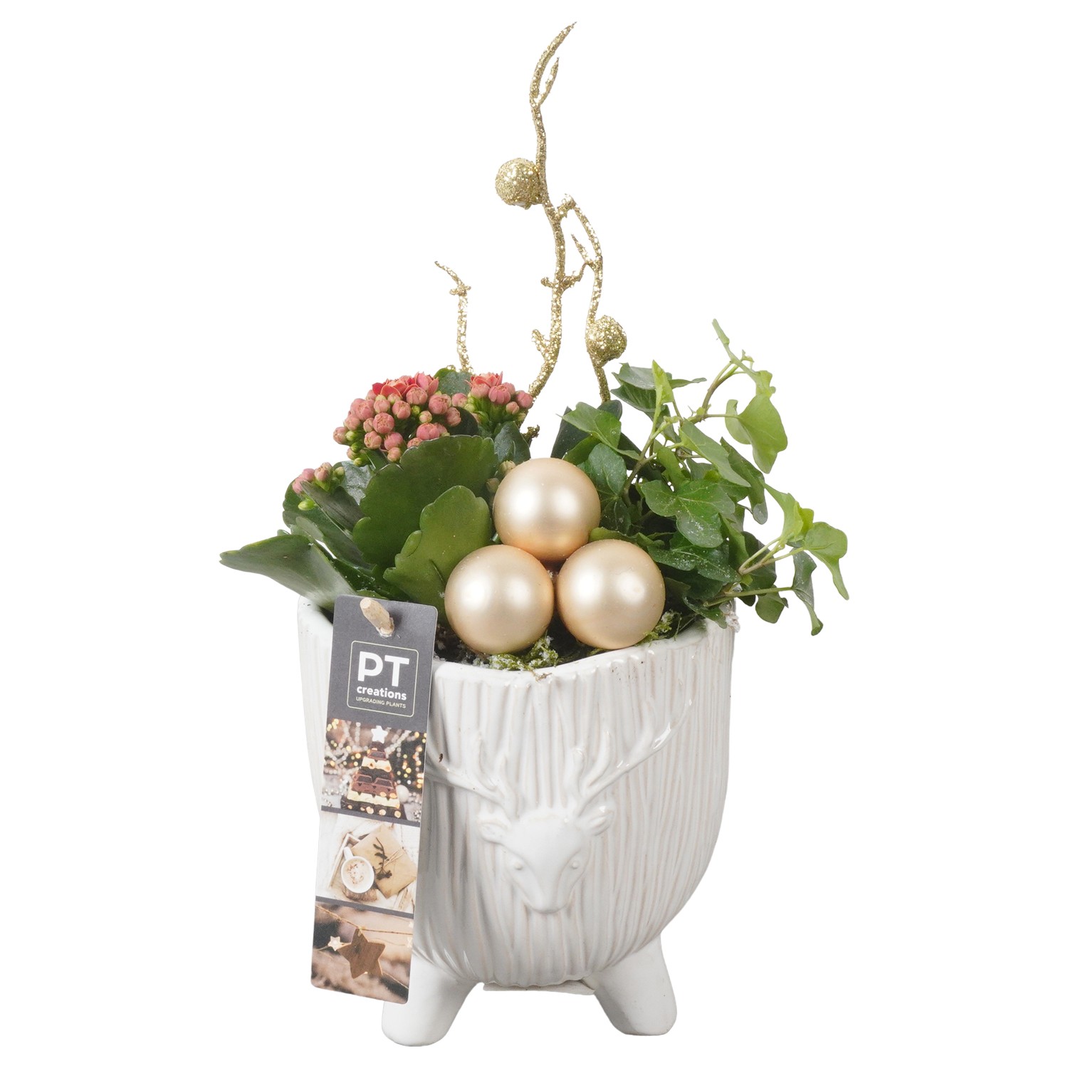 Picture of PTKB9362 Arrangement X-Mas in ceramic pot P13 28CM