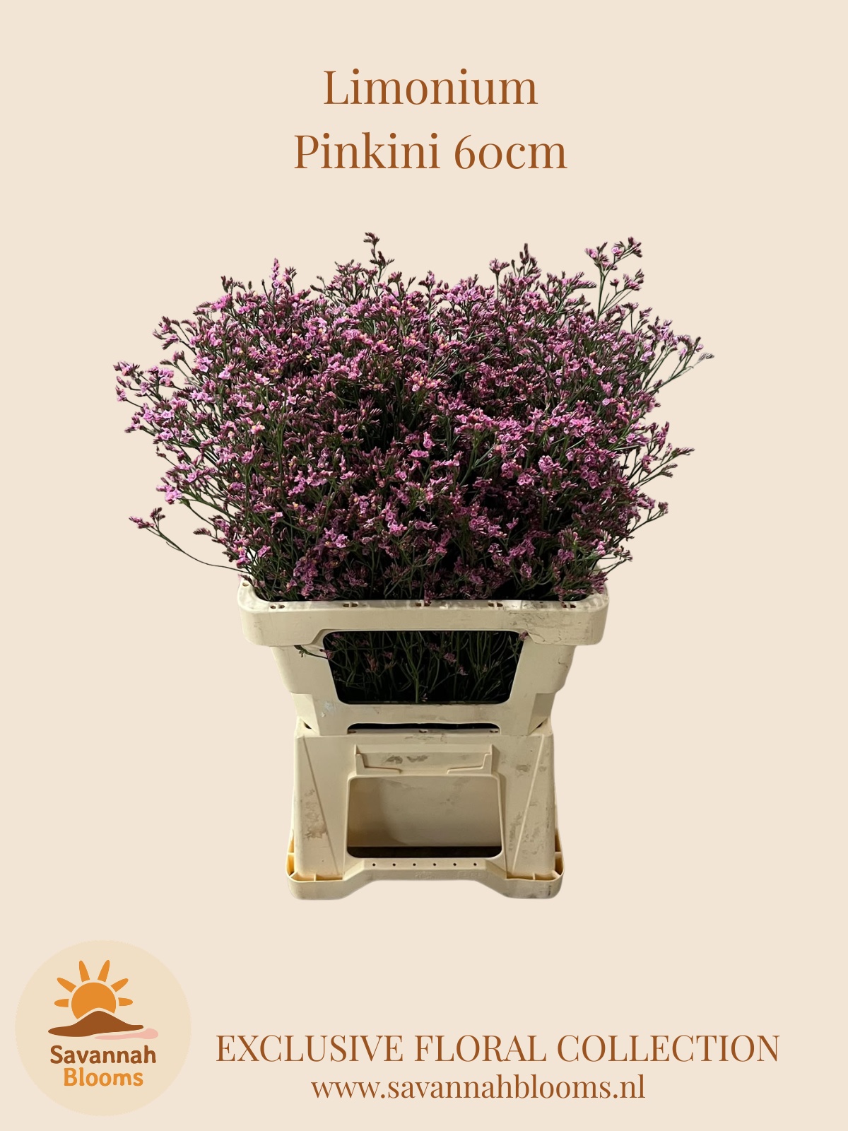 Lim Sin Sen Pinkini 60cm 25gram
