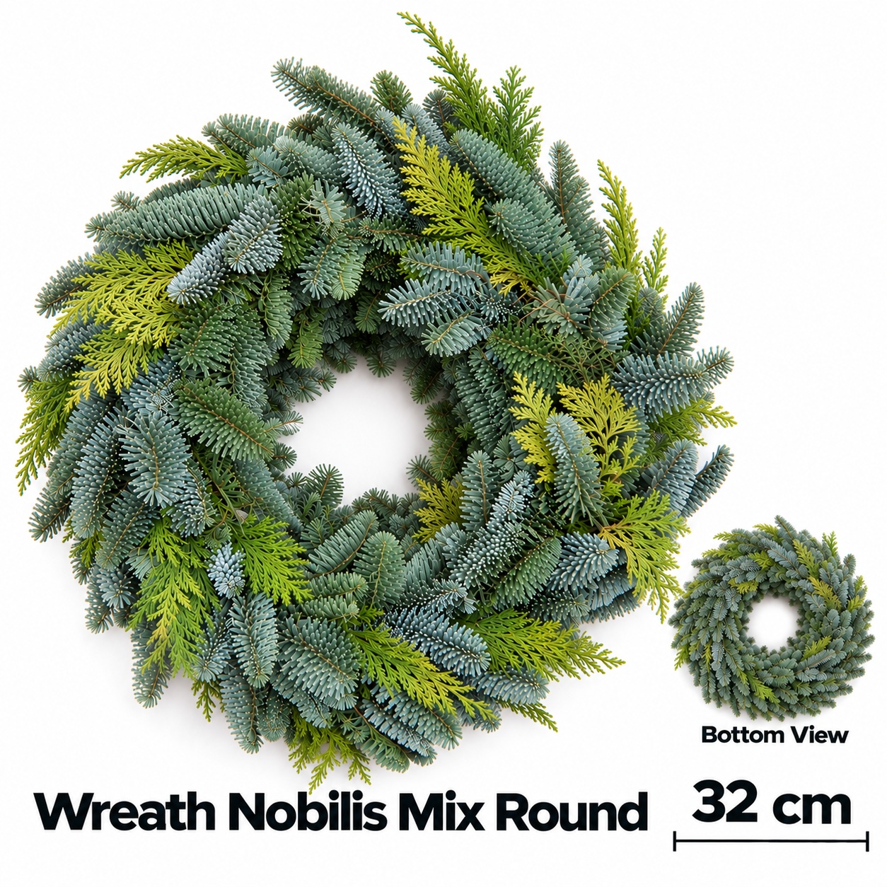 Abies Nobilis Blauw 32L.cm