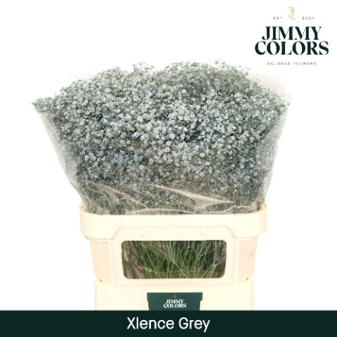 Gyps Xlence L80 Grey