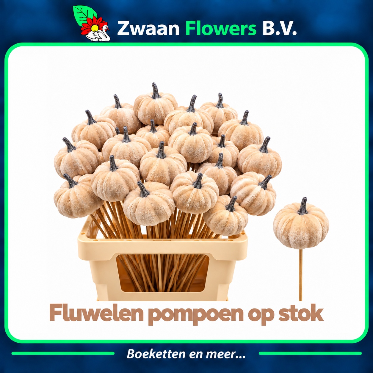 Huis En Tuindeco H%