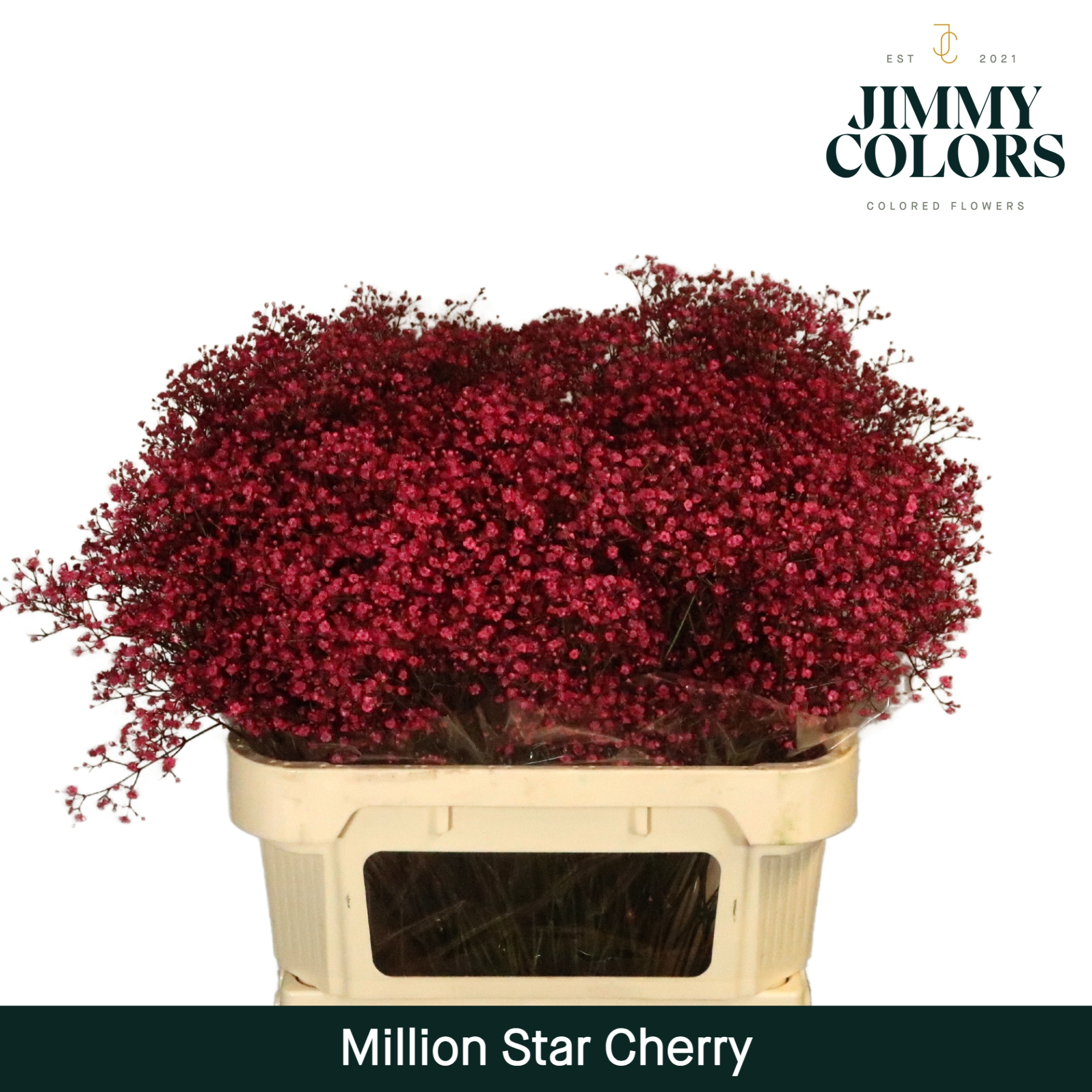 Gyps Million Star L80 Cherry Roze