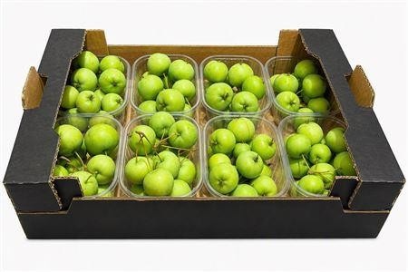 Malus Per Tray