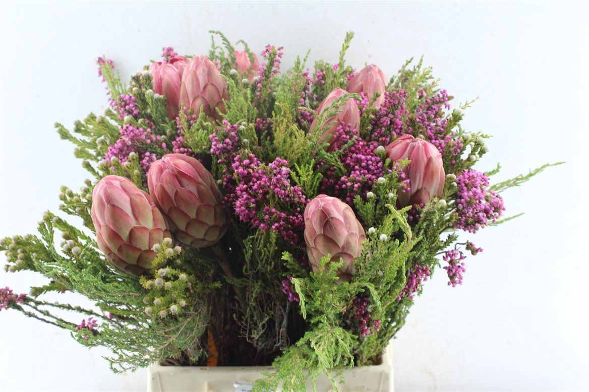 Protea Bouquet Per Bunch 40cm